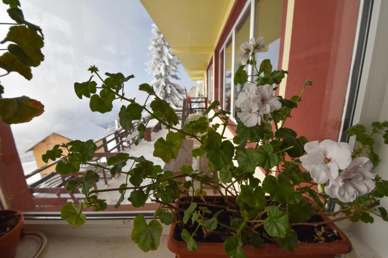 Vila Parang Petroşani Exterior foto